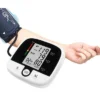 Electronic Blood Pressure Monitor